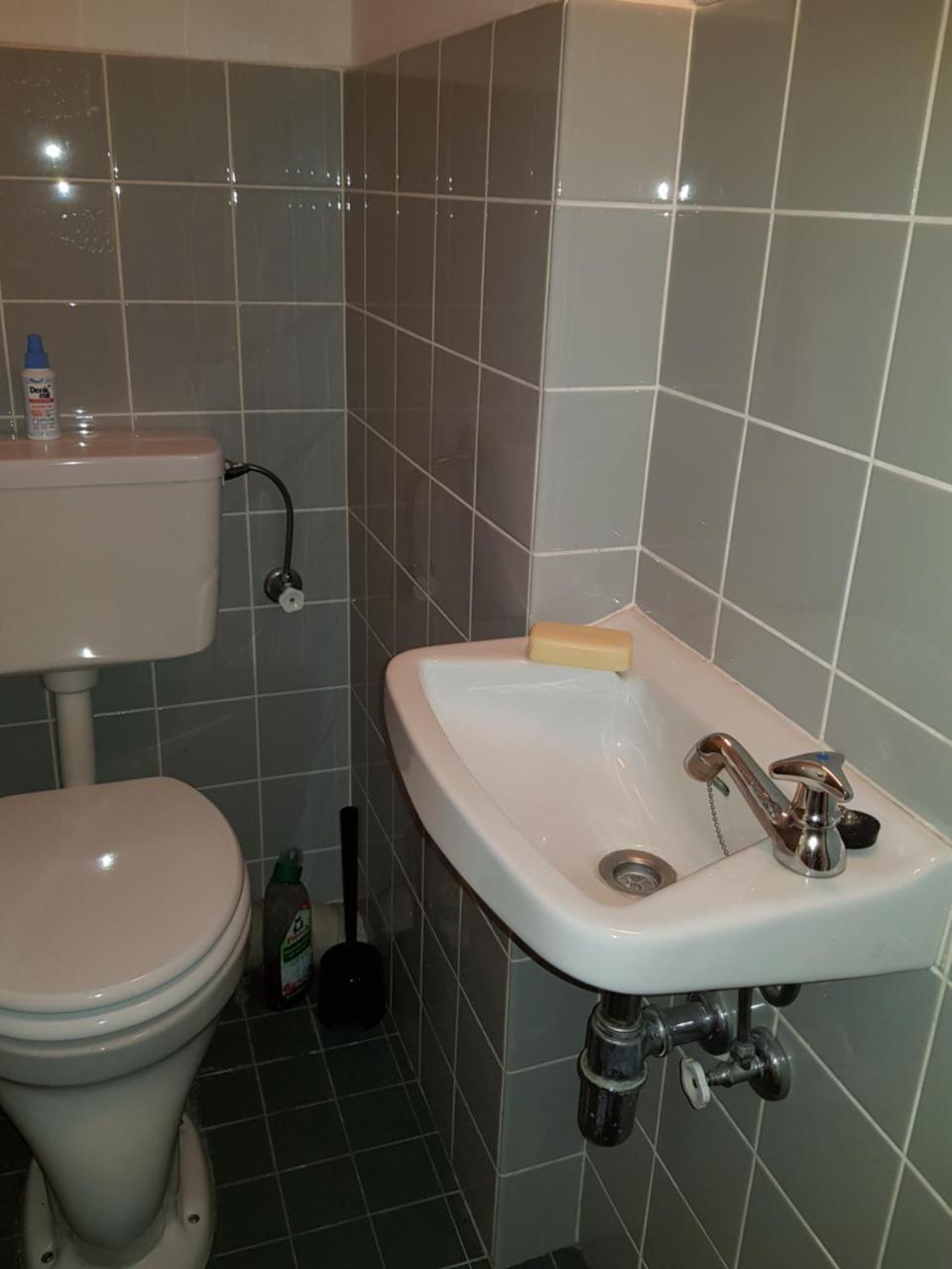Apartment Mit Blick Auf Das Eversten Holz 42Qm 奥尔登堡 外观 照片